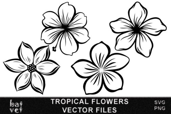 Download Tropical Flower SVG Vector Bundle Design - Svg vector Collection